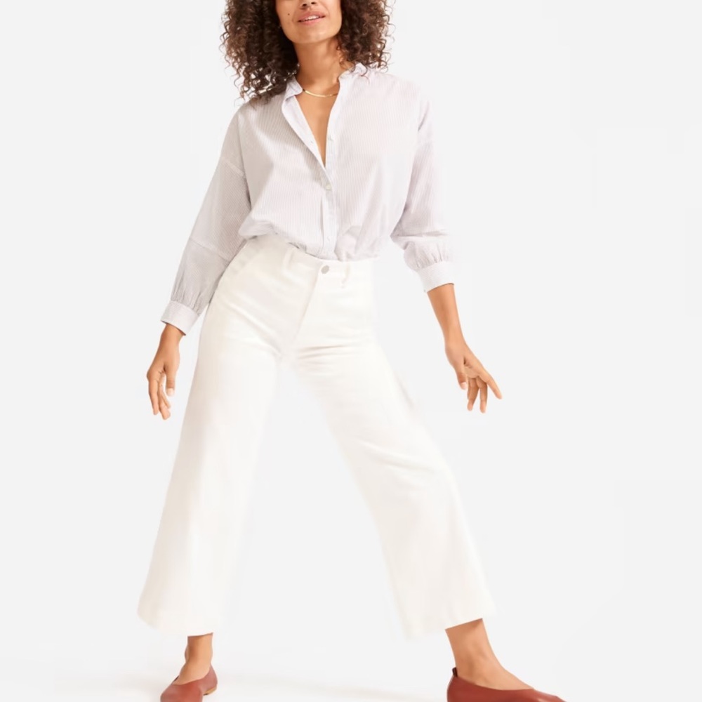 Everlane The Wide-Leg Crop Pant